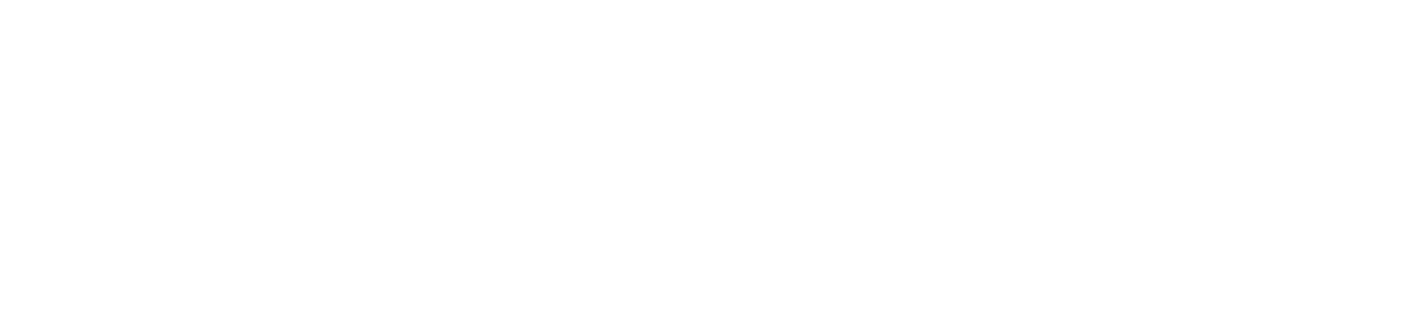 Logo Solupack